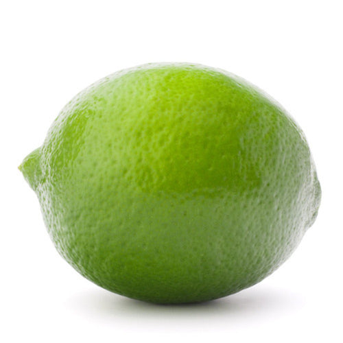 LARGE LIME 1 COUNT