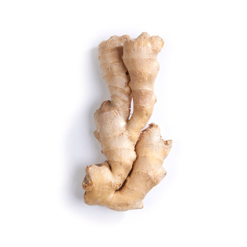 GINGER ROOT
