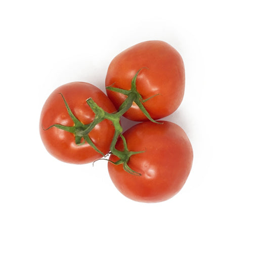 TOMATOES ON A VINE 454G