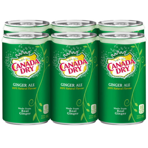 CANADA DRY SOFT DRINK GINGER ALE CANS 6 X 222 ML