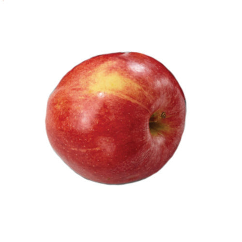 APPLES ROYAL GALA LARGE 1 COUNT